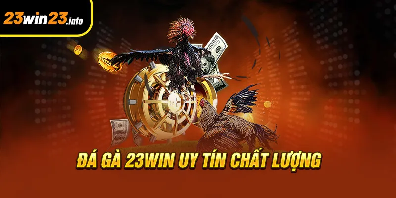 Đá gà 23win uy tín chất lượng