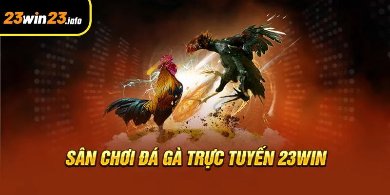 Sân chơi đá gà trực tuyến 23win