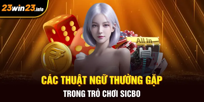 Các thuật ngữ thường gặp trong trò chơi sicbo
