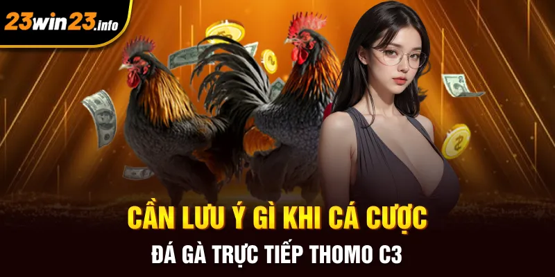 Cần lưu ý gì khi cá cược đá gà trực tiếp Thomo C3