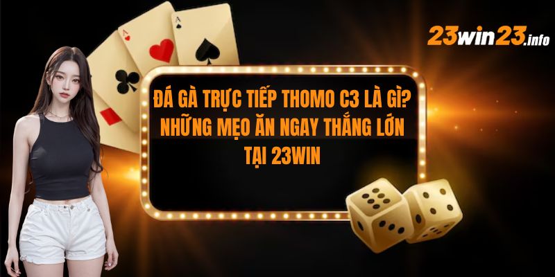 Đá gà trực tiếp Thomo C3