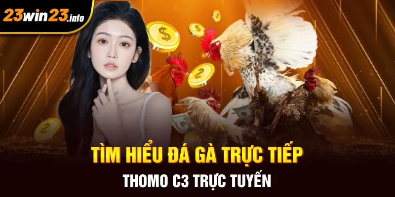 Tìm hiểu đá gà trực tiếp Thomo C3 trực tuyến