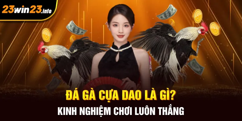 Đá Gà Cựa Dao Là Gì? Kinh Nghiệm Chơi Luôn Thắng