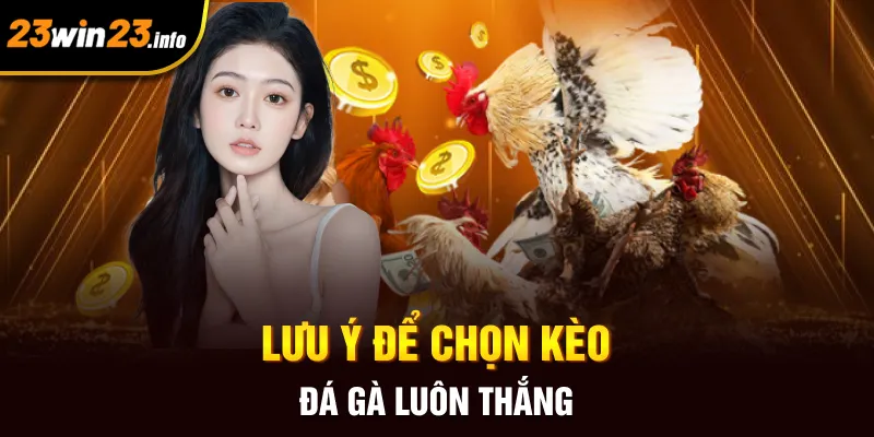Lưu ý để chọn kèo đá gà luôn thắng