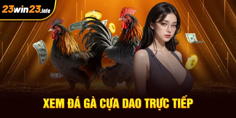 Xem đá gà cựa dao trực tiếp